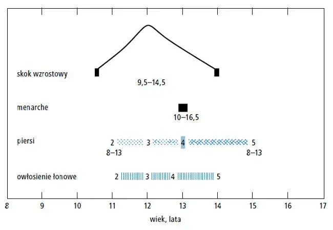 Ile trwa prawidłowa miesiączka? Normy, objawy i kiedy do lekarza