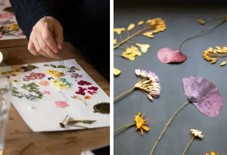 Jak suszyć kwiaty na płasko, by uniknąć zniszczenia kolorów