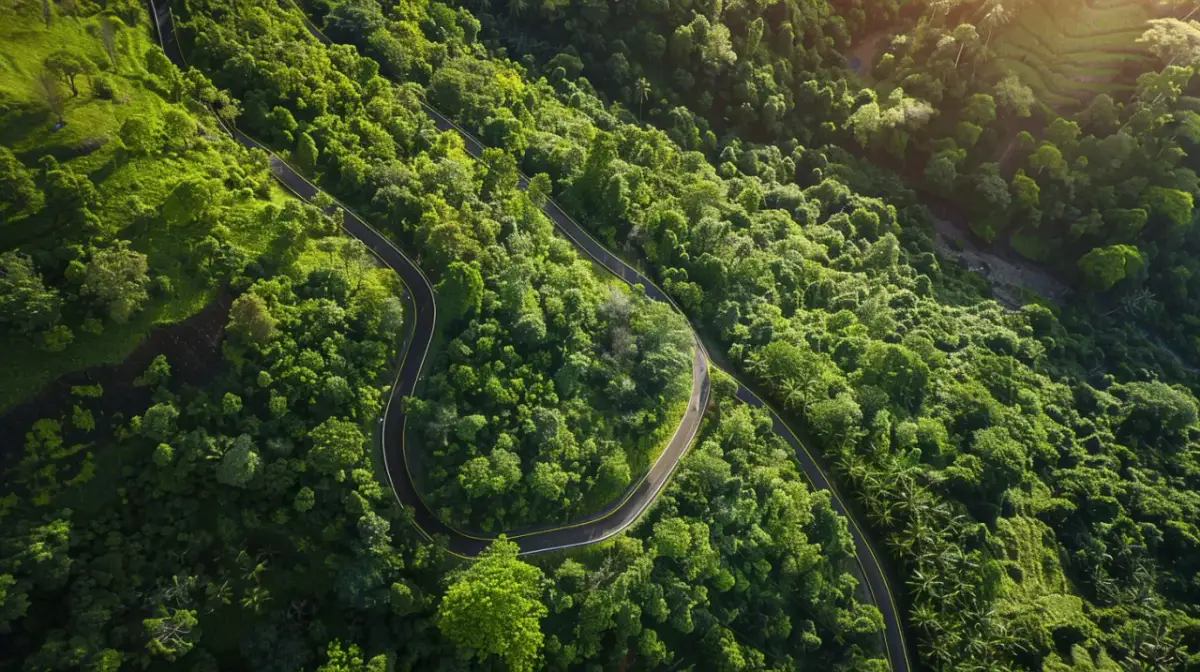 Zjeżdżalnia na Górze Św. Anny: Ceny oraz opinie odwiedzających
