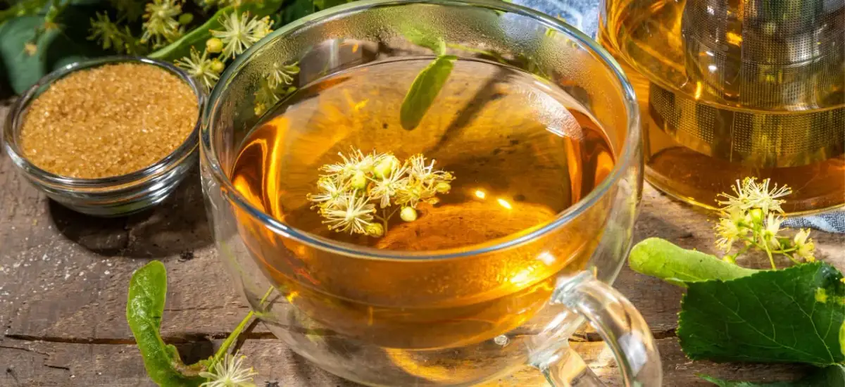 Parzenie herbaty z lipy: sekrety, właściwości i bezpieczne picie