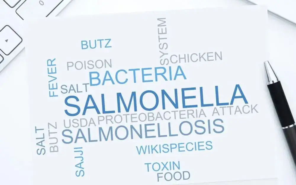 Objawy zatrucia salmonellą: Jak je rozpoznać i kiedy szukać pomocy