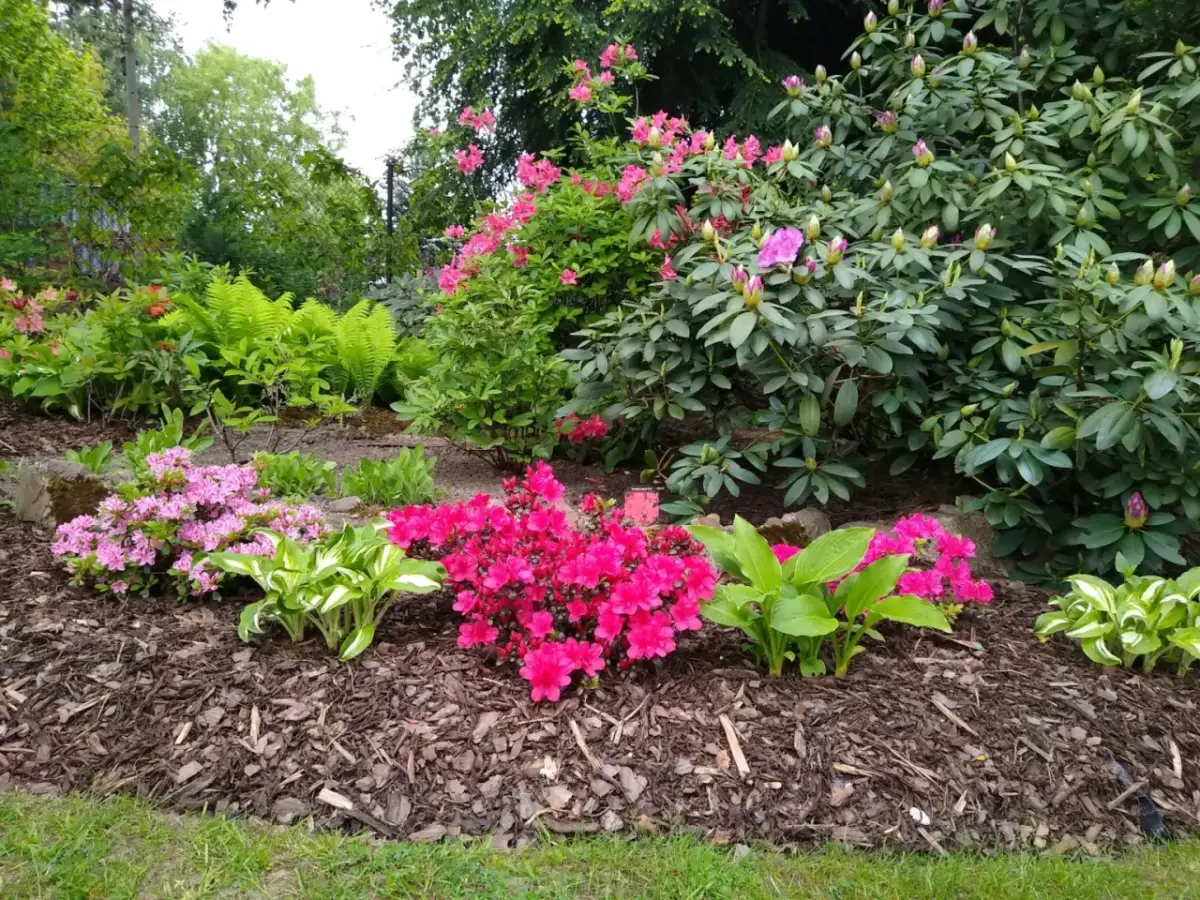 Jakie nawozy na kwitnienie zapewnią piękne i zdrowe kwiaty?