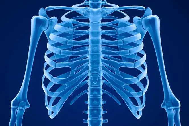 Wyrostek mieczykowaty – jakiego lekarza szukać przy bólu?