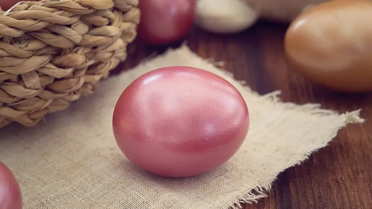 Czy jajko ma cholesterol? Odkryj prawdę o jego wpływie na zdrowie