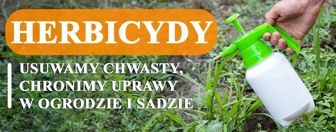 Jak skutecznie zwalczyć kostrzewę chwast i ochronić plony zbóż