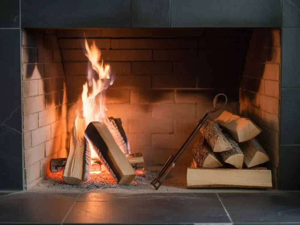 Czy topola nadaje się do kominka? Odkryj jej wady i zalety