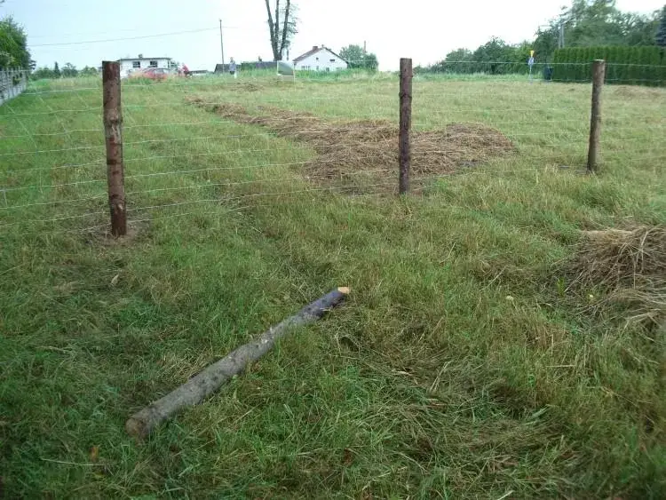 Jak zrobić tani płot i zaoszczędzić na materiałach budowlanych