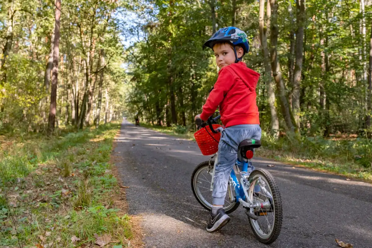 Chłopiec w kasku na rowerze przemierza malownicze trasy rowerowe Puszczy Niepołomickiej.