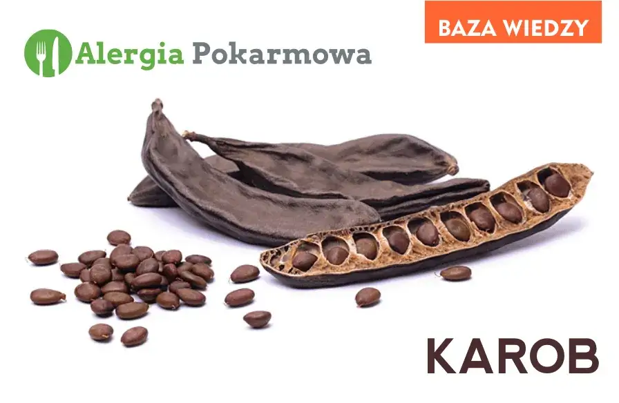 Mączka chleba świętojańskiego (E410): Bez glutenu? Rozwiewamy wątpliwości!