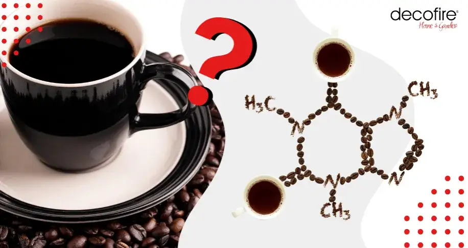 Ile kofeiny ma kawa? Sprawdź moc i bezpieczne dawki!