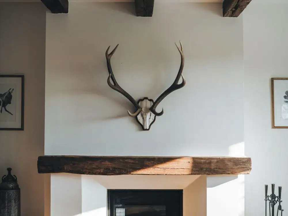 Jak powiesić poroże na ścianie bez ryzyka uszkodzeń i błędów