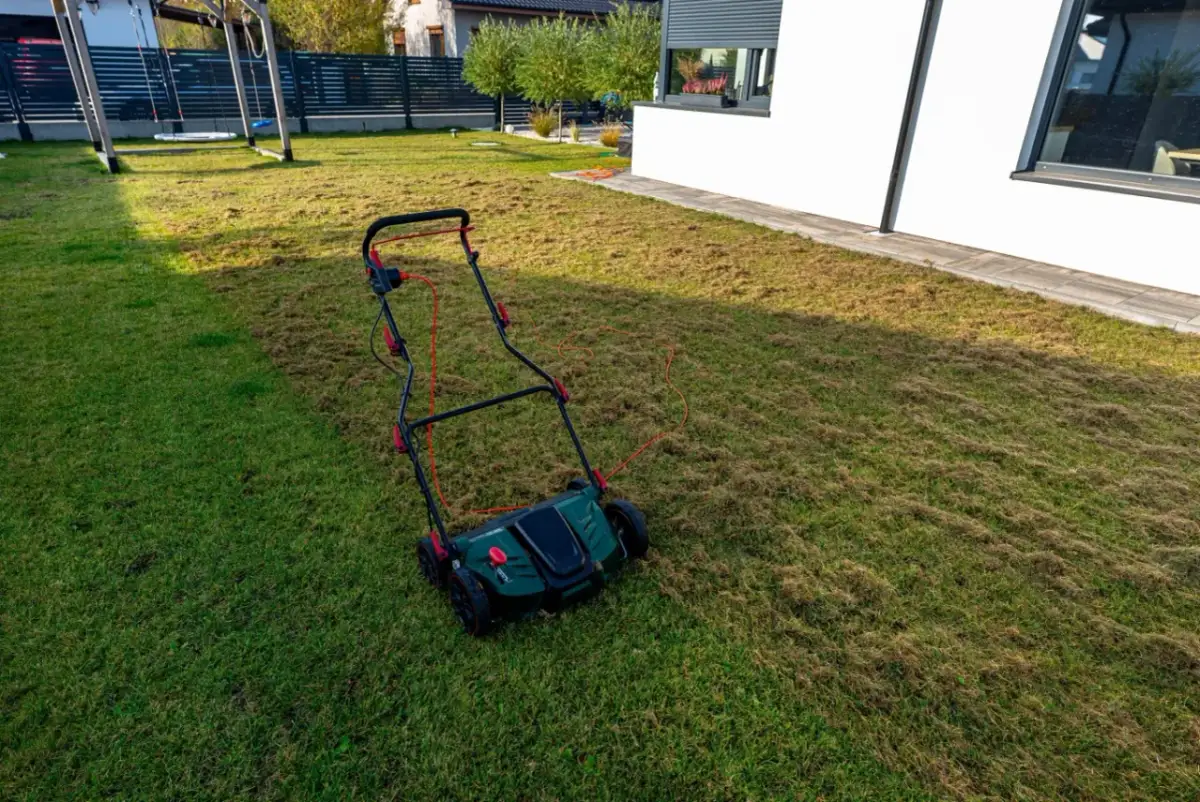 Wertykulator na trawniku, który właśnie przeszedł zabieg. Widać wyraźną różnicę między świeżo wertykulowaną a zieloną częścią. Idealny czas, kiedy wertykulować trawnik, to wiosna lub jesień.