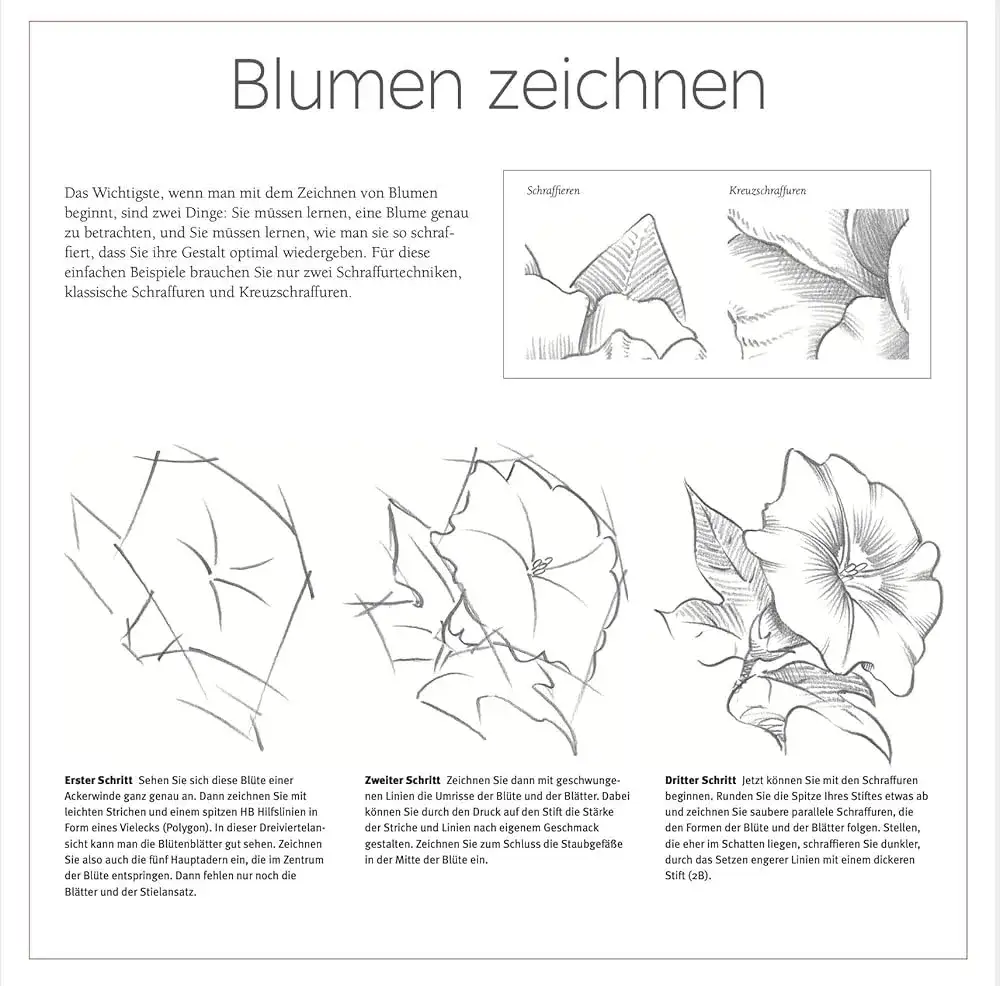 Einfache Zeichenideen: So gelingen erste Kunstwerke mühelos