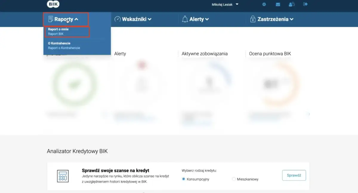 Menu "Raporty" z rozwiniętą opcją "Raport BIK".