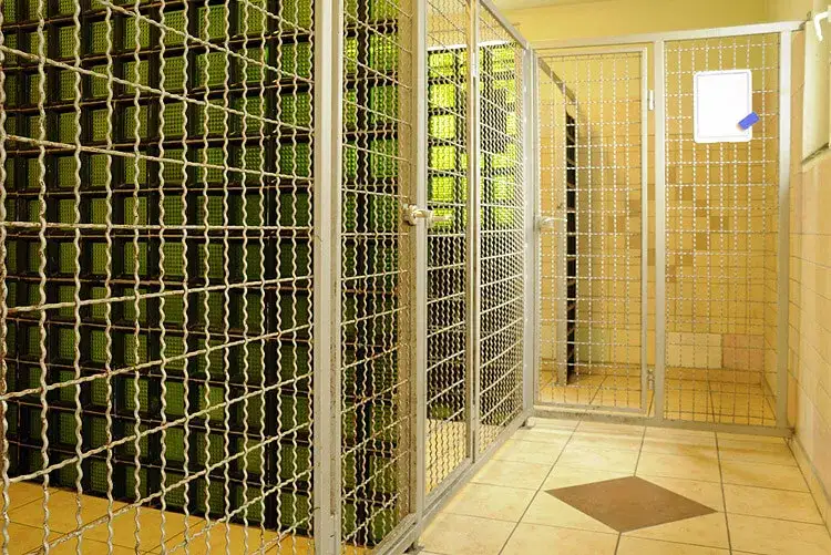 Jak założyć hotel dla psów i uniknąć najczęstszych błędów