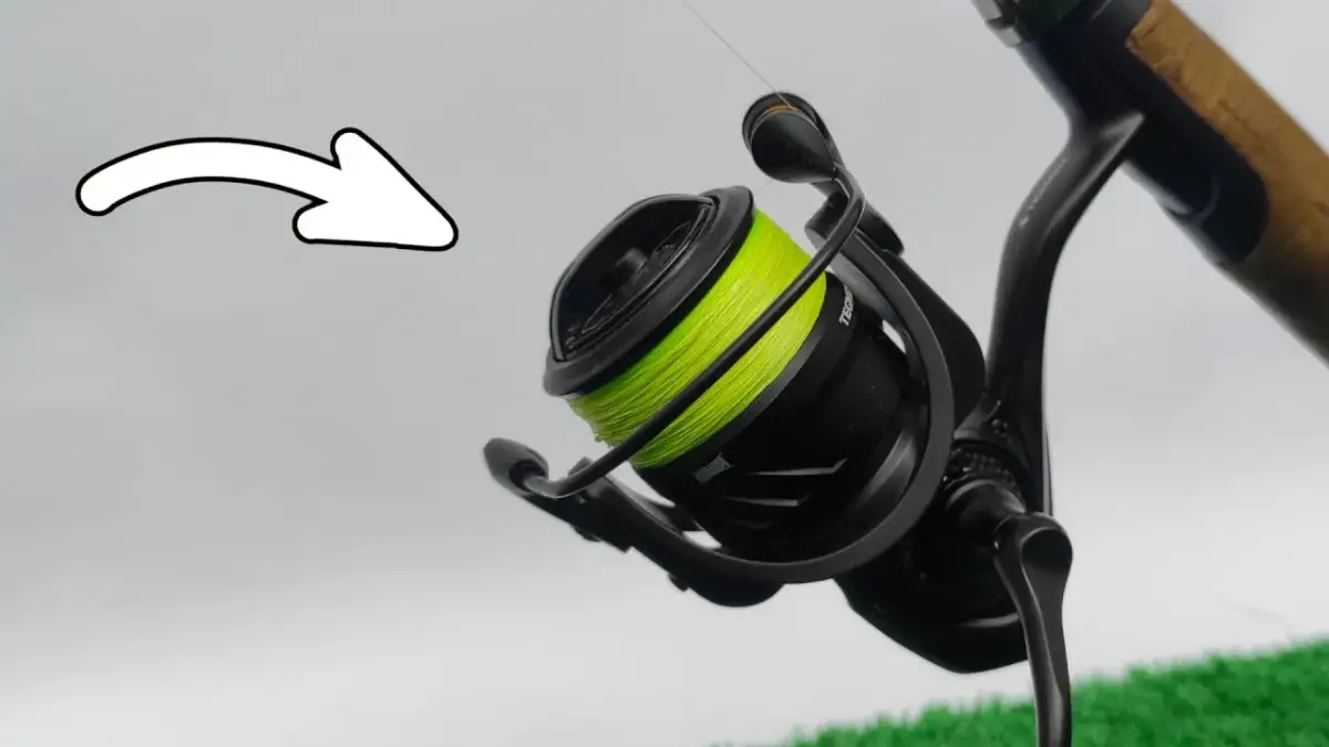 Jak nawijać żyłkę na kołowrotek? Złota zasada 1,5 mm rantu!