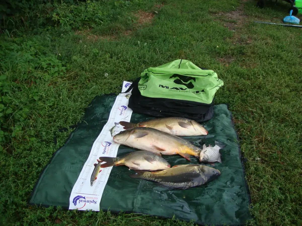 Łowisko Specjalne Halinów: przewodnik, zasady, ceny i ryby