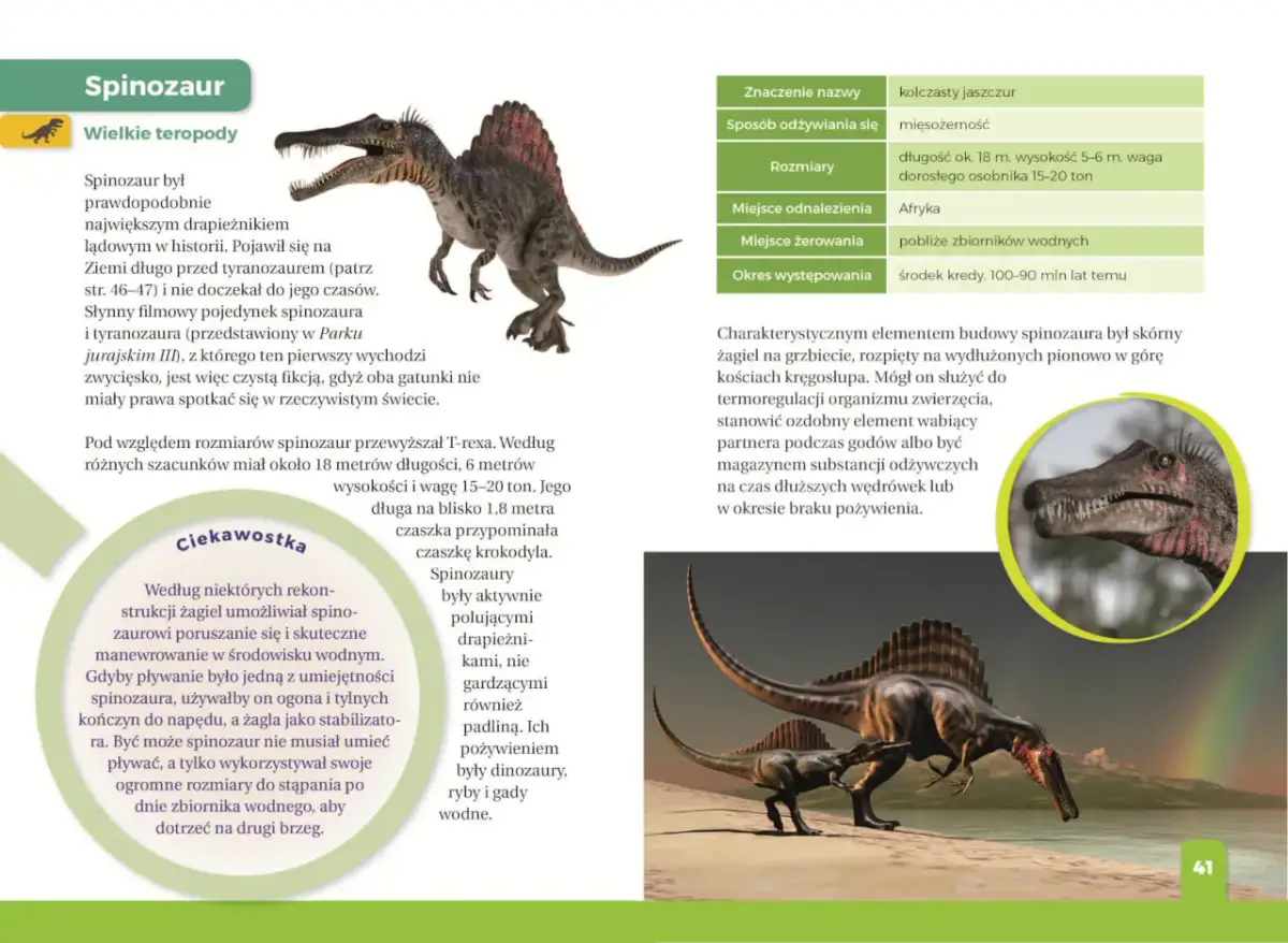 Ilustrowany atlas świata dinozaurów: Spinozaur, największy drapieżnik lądowy, z charakterystycznym żaglem na grzbiecie, przemierza brzeg wodny.
