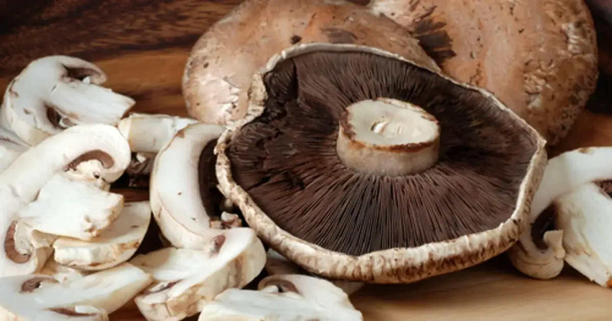 Pieczarki, bogate w witaminy i minerały, prezentowane w zbliżeniu. Widać przekrojone kapelusze i nóżki, ukazujące ich strukturę.