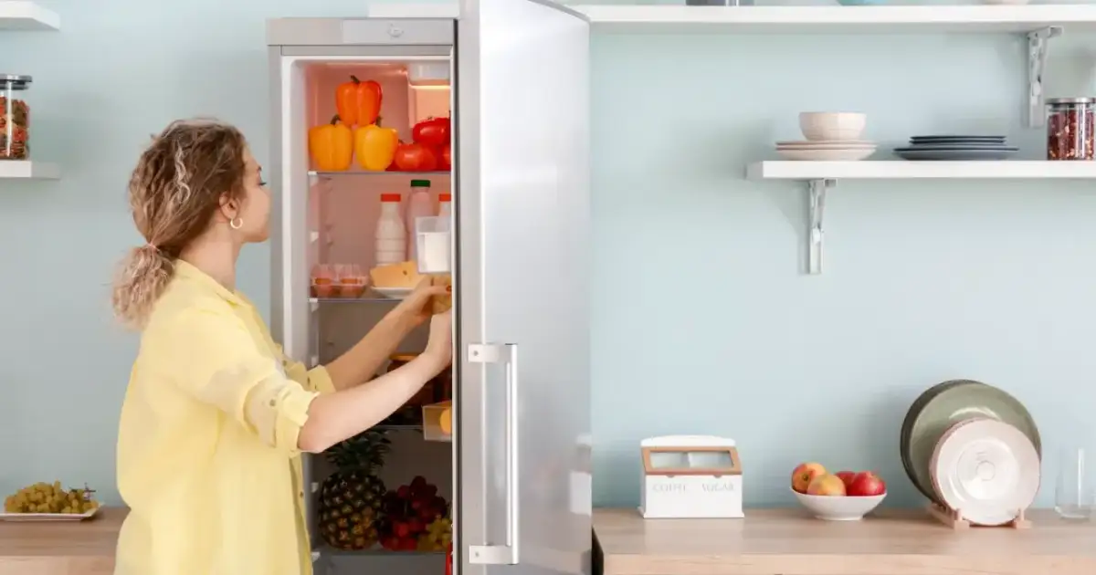 Kontrolki w zamrażarce Beko: rozszyfruj kolory i uniknij awarii