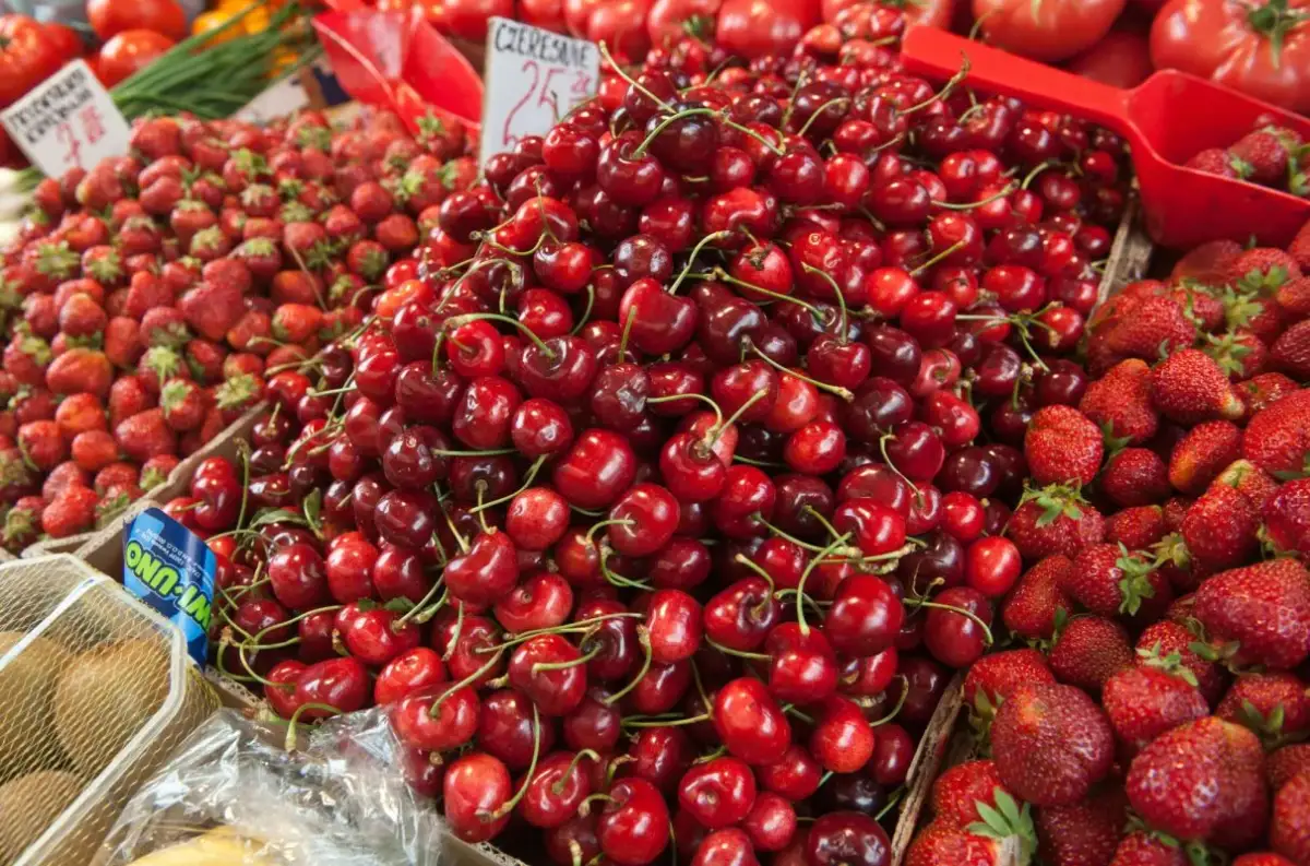 Sezon na czereśnie kiedy? Sprawdź, kiedy najlepiej je kupić