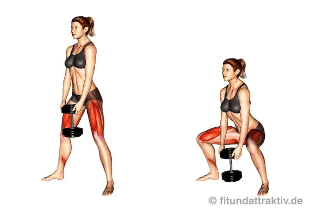 Hanteltraining: Muskelaufbau für zu Hause Die besten Übungen