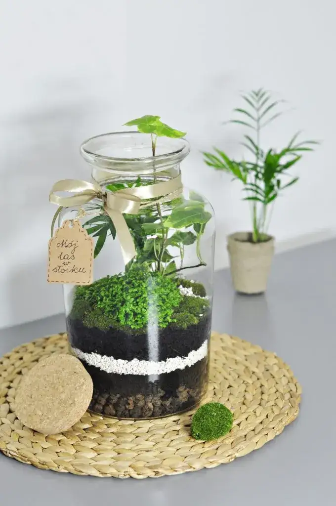 Jak stworzyć las w słoiku dla przedszkola - proste kroki i materiały