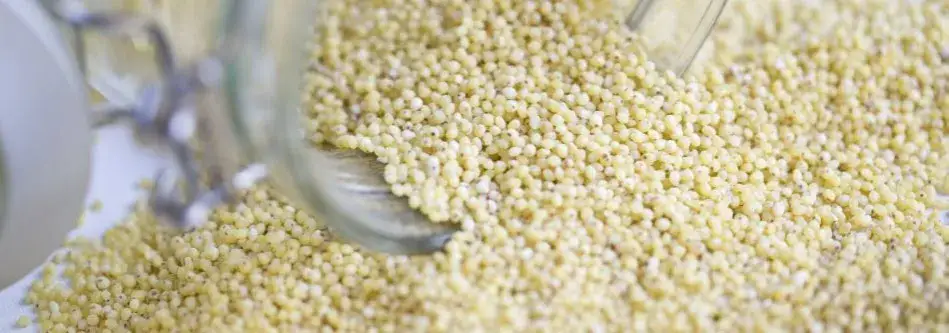 Kasza jaglana z czego pochodzi? Odkryj jej fascynującą historię