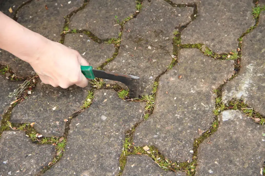 Skuteczne metody na to, jak pozbyć się trawy z chodnika raz na zawsze