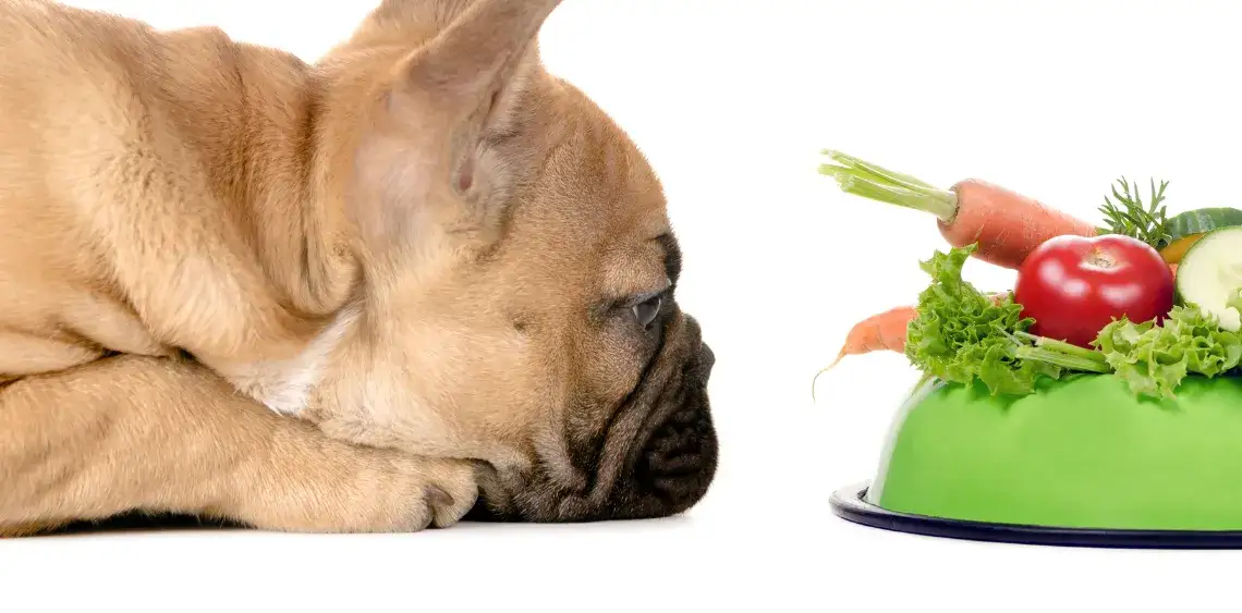 Czy pies może jeść pomidory koktajlowe? Sprawdź, co musisz wiedzieć