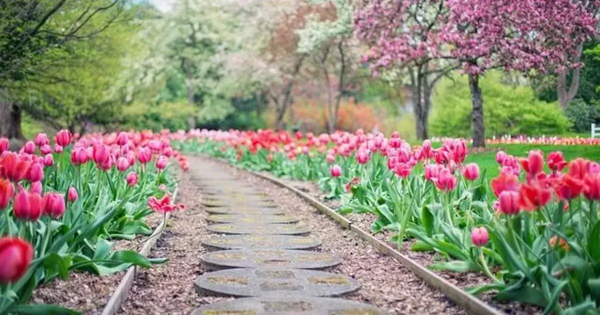 Najlepsze materiały na chodnik w ogrodzie: wybierz mądrze i oszczędzaj