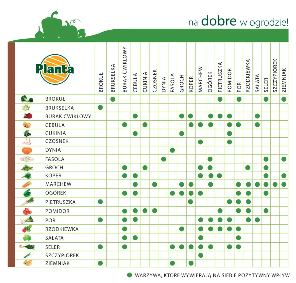 Jakie warzywa opłaca się uprawiać, aby zwiększyć zyski w ogrodzie