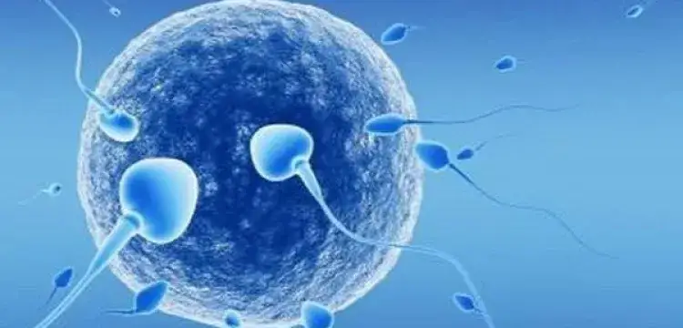 Czy dzieci z in vitro mają duszę? Kontrowersje i wierzenia w religiach