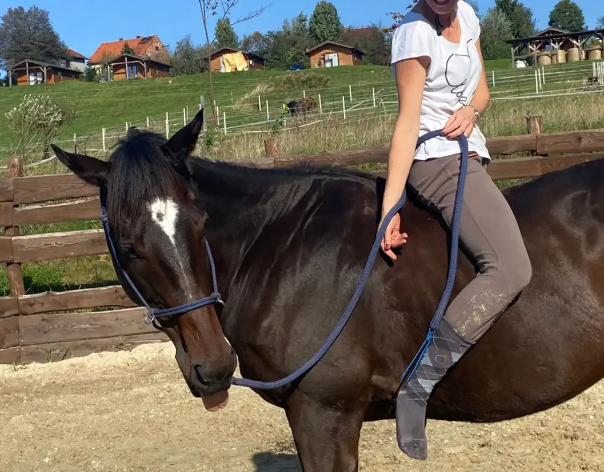 Jak zrobić uwiąz dla konia - proste kroki, które musisz znać