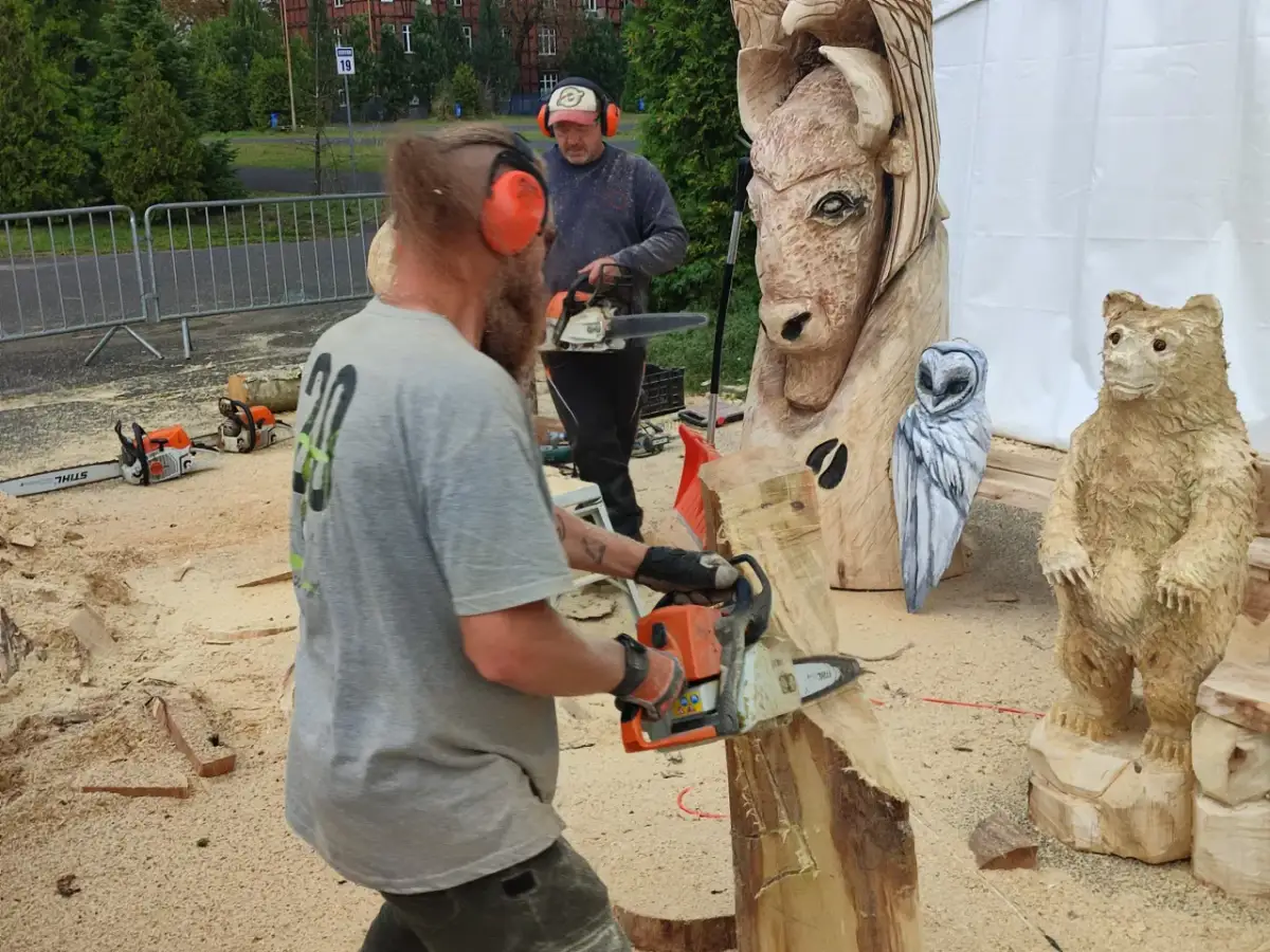 Niesamowite rzeźby z drewna, które odmieniają Twoje wnętrze i ogród