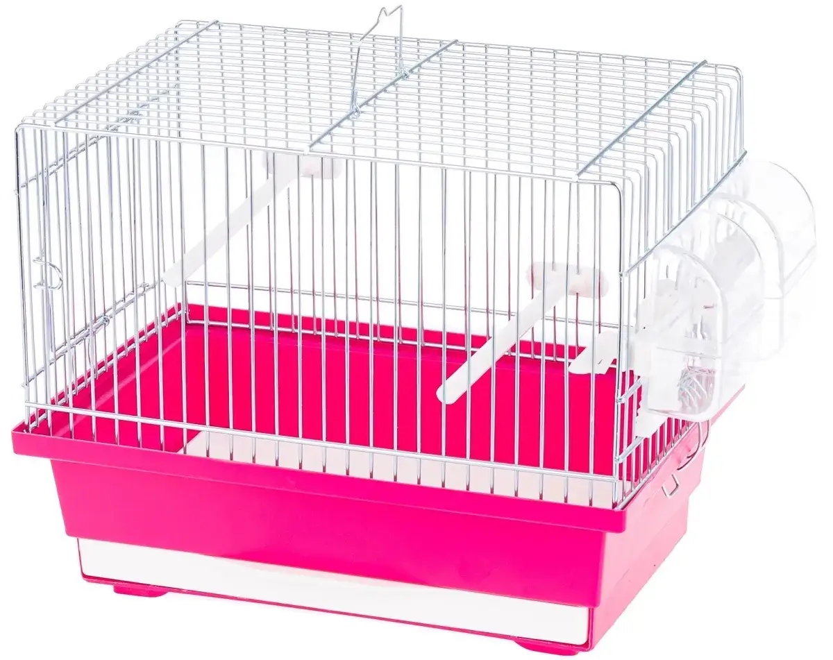 Ile kosztuje klatka dla kanarka? Ceny, wybór i porady eksperta.