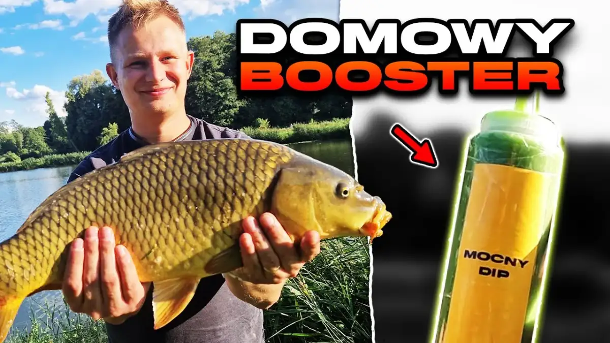 Jak zrobić dip wędkarski, aby skutecznie przyciągnąć ryby?