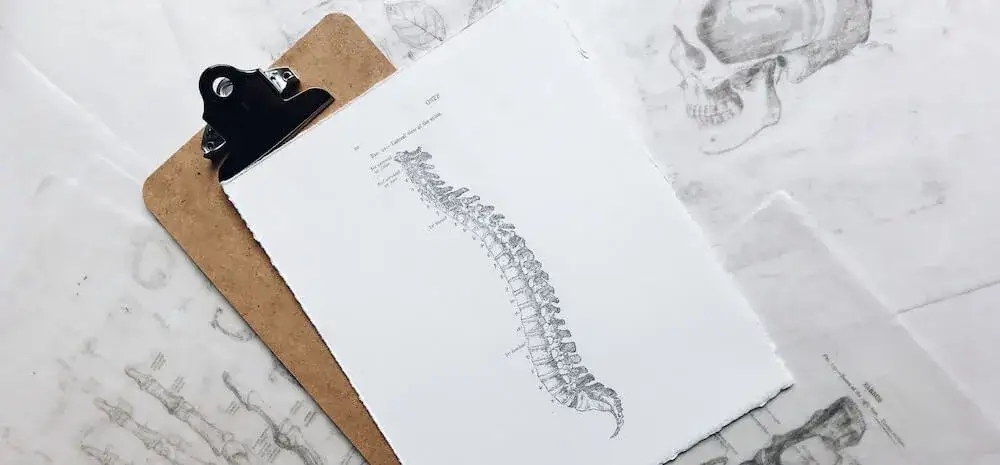 Czy potrzebne skierowanie do fizjoterapeuty? Sprawdź, co musisz wiedzieć