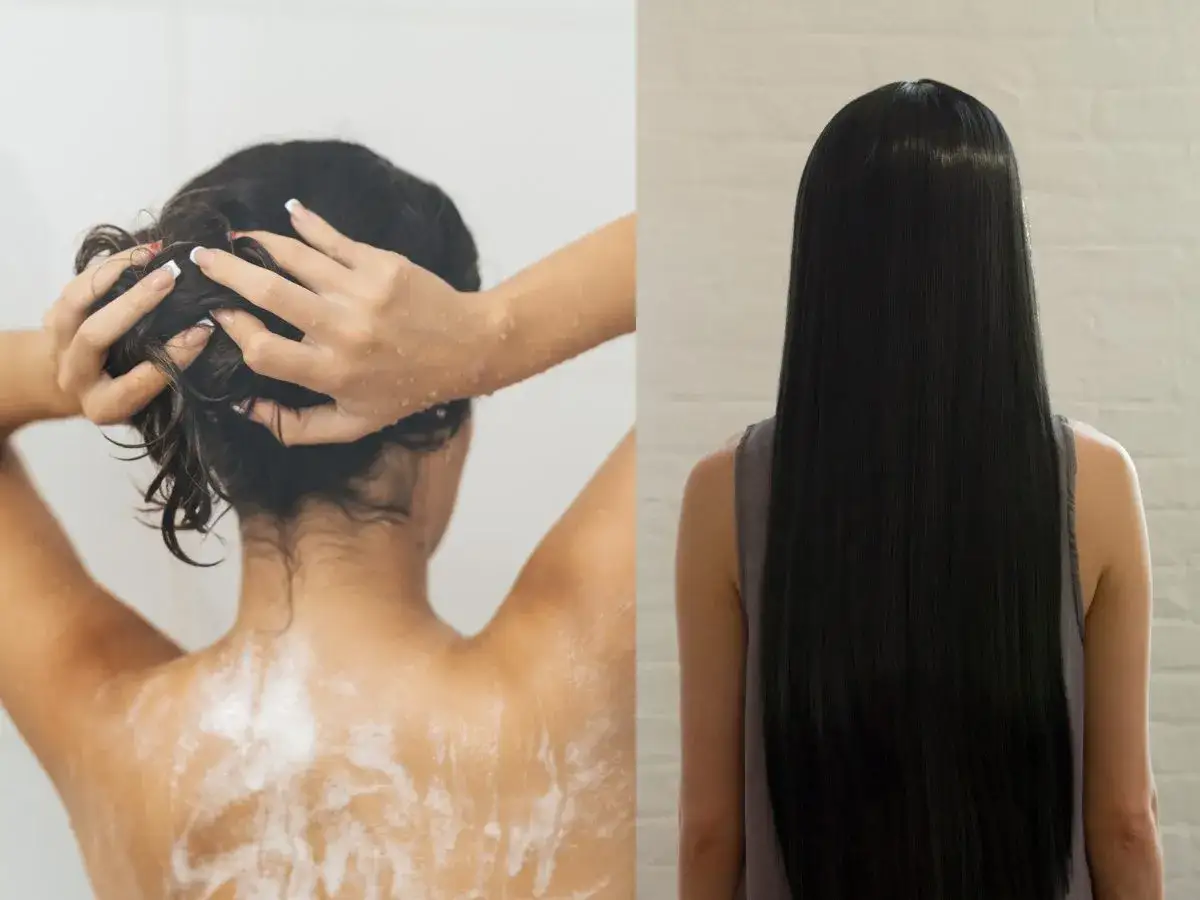 Stapiz Ha Essence: Szampon rewitalizujący opinie, skład, czy warto?