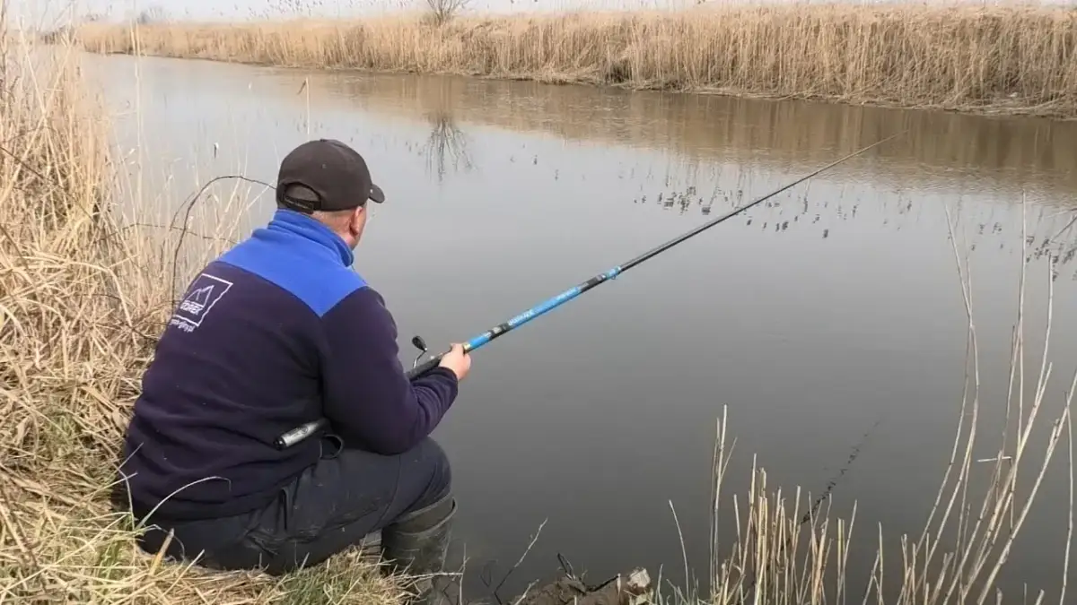 Wędki bolonki na jakie ryby: zaskakujące gatunki, które możesz złowić