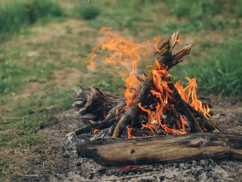Czy palenie ogniska na działce ROD jest legalne? Przepisy i konsekwencje prawne