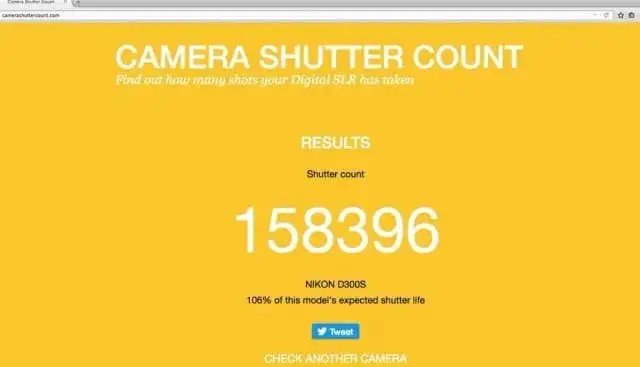 Jak sprawdzić przebieg aparatu Nikon i uniknąć kosztownych błędów