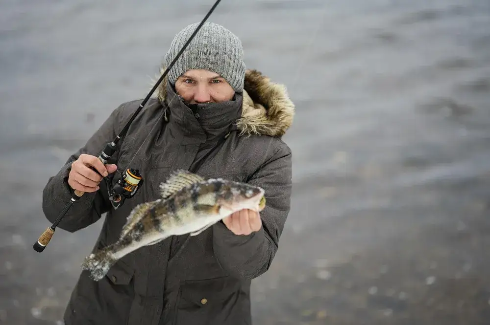Najlepsze przynęty na sandacza: uniknij nieudanych połowów