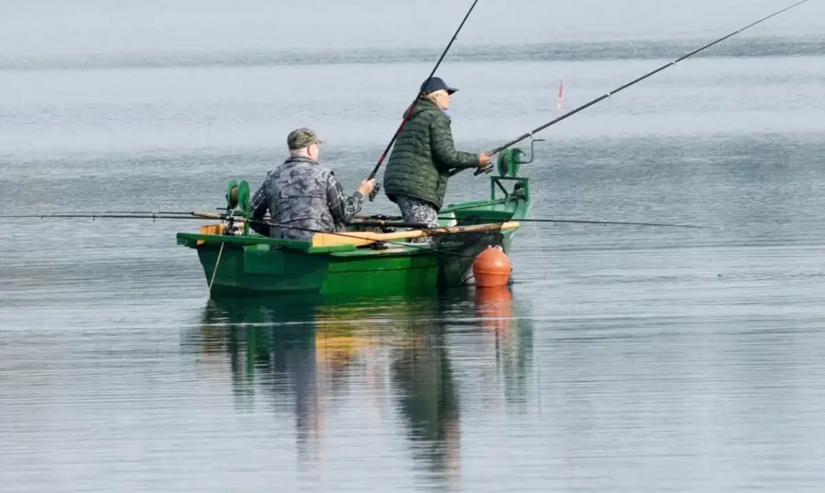 Ile kosztuje pozwolenie na łowienie ryb? Ceny, zniżki i ważne informacje