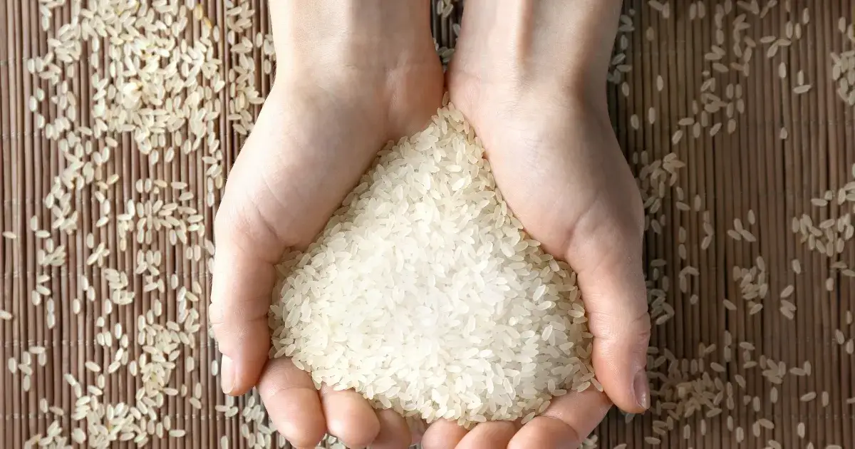 Ryż parboiled do czego? Odkryj pyszne przepisy i zastosowania