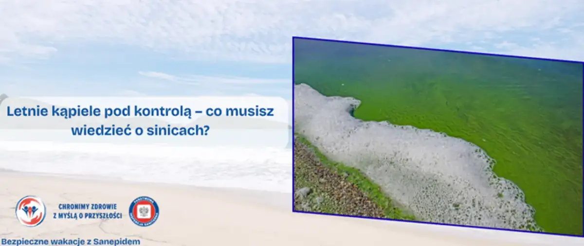 Hel czy są sinice? Różnice, zagrożenia i ekologiczne znaczenie tych zjawisk