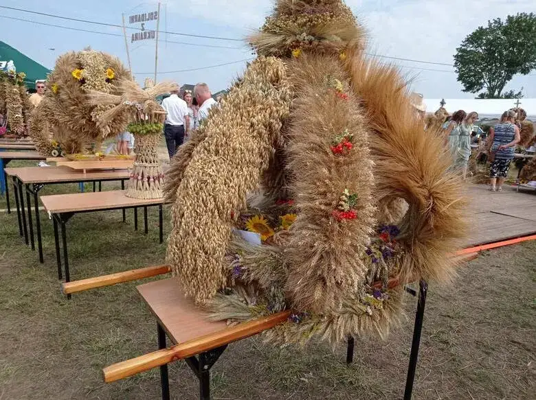 Kiedy zbierać zboże na wieniec dożynkowy, aby uniknąć błędów?