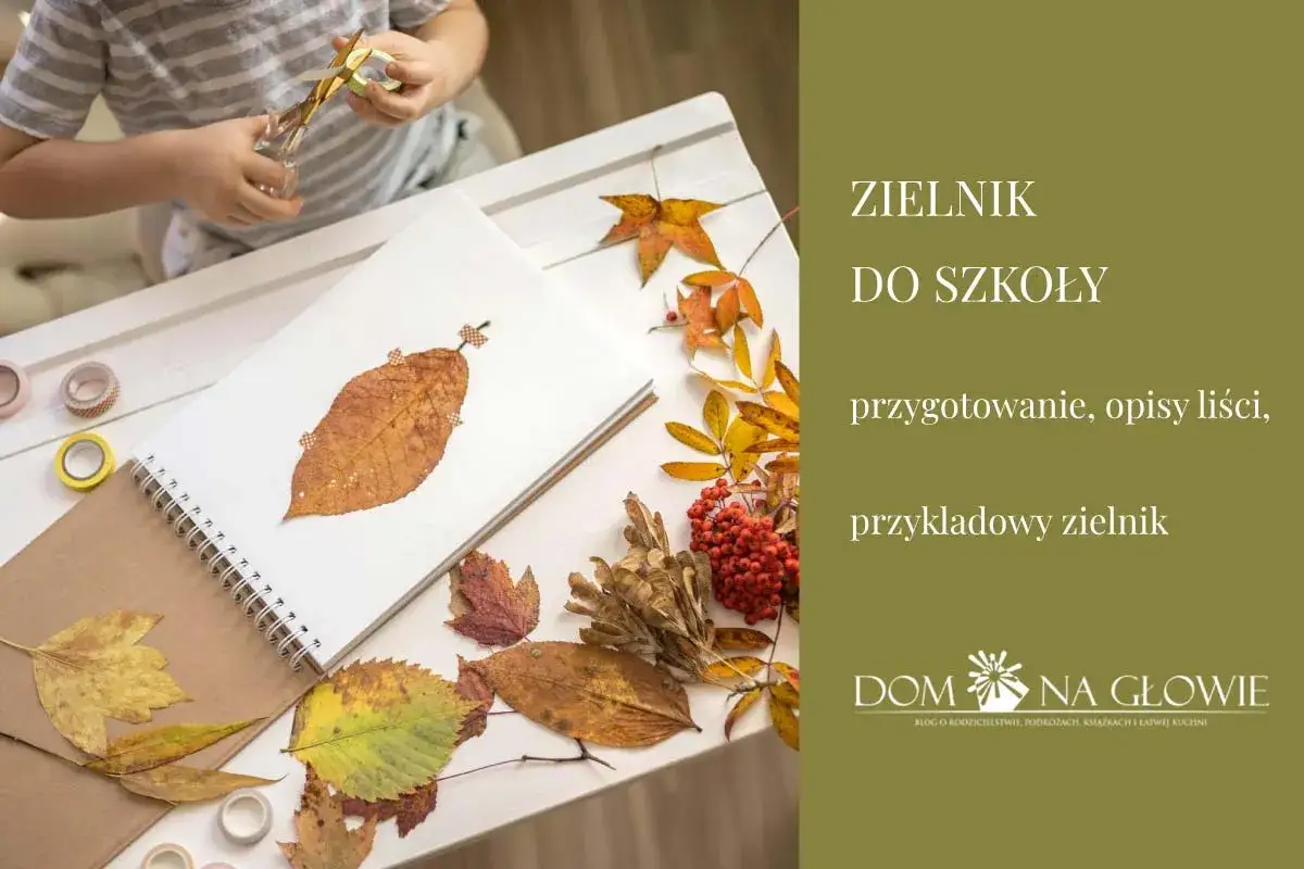 Zielnik szkolny: wybierz rośliny, susz i opisz na ocenę celującą