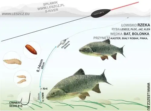Spławik na staw: Sekret udanego połowu karpia i lina