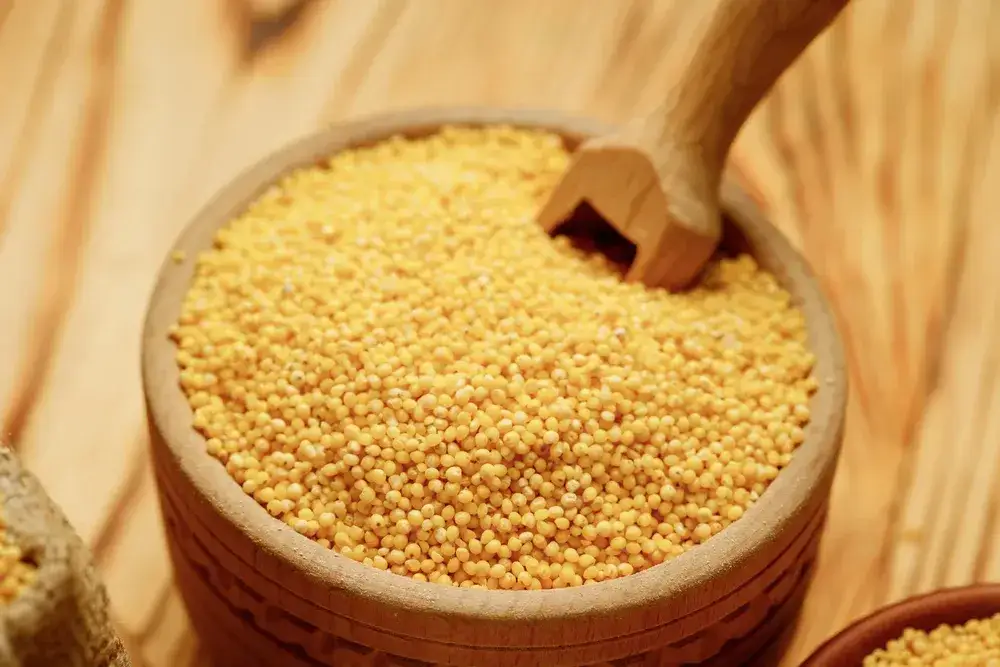 Czy kasza jaglana tuczy? Odkryj prawdę o jej wpływie na wagę